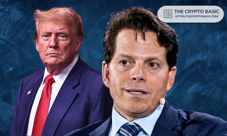 Scaramucci suggests US may buy 500,000 bitcoins as national reserve