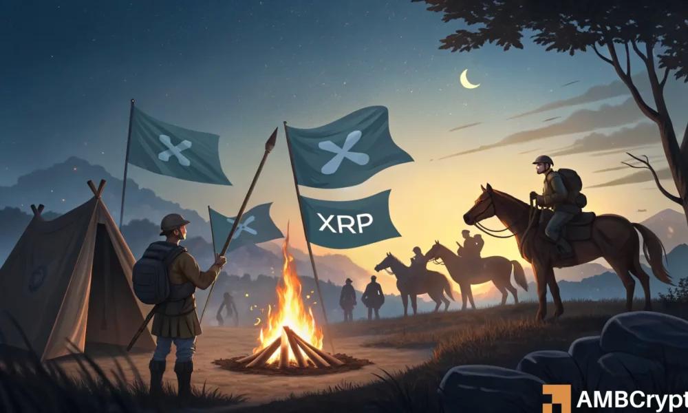 XRP能否保持其上涨势头？分析关键数据和价格走势