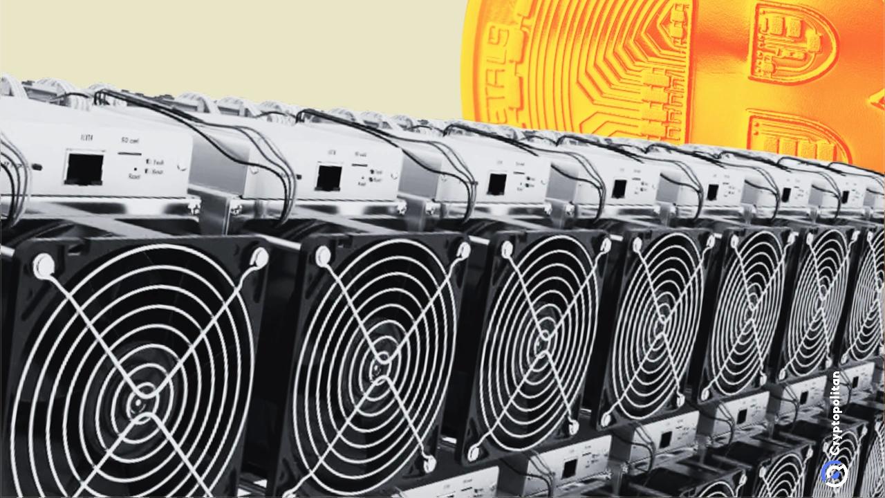 Bitcoin Mining 2024: The Thrilling Roller Coaster Journey!