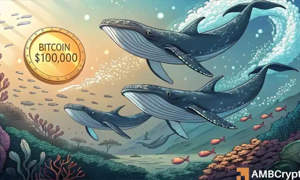 Can Bitcoin Liquidity and Whale Activity propel it to surpass 0,000 again?